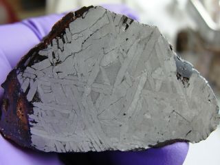 Trenton,  Wisconsin IIIAB medium octahedrite 207 gram end cut meteorite 6