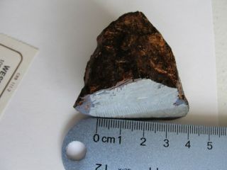 Trenton,  Wisconsin IIIAB medium octahedrite 207 gram end cut meteorite 8