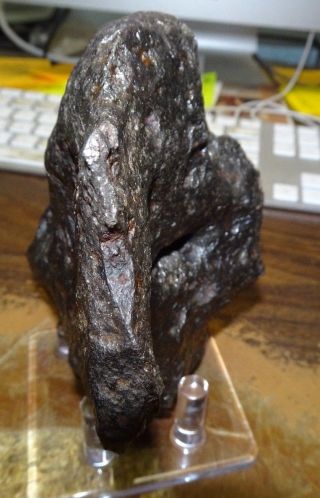 2508 gm CAMPO DEL CIELO METEORITE ; AA GRADE 5.  6,  lbs.  ; lg.  meteorite 3