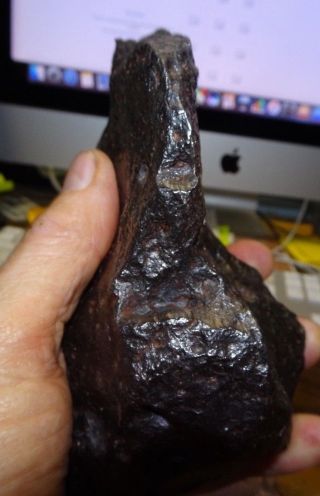 2508 gm CAMPO DEL CIELO METEORITE ; AA GRADE 5.  6,  lbs.  ; lg.  meteorite 5
