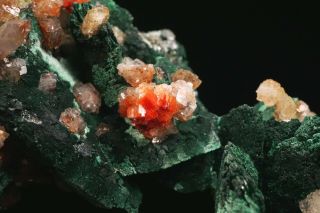 AESTHETIC Chalcotrichite in Calcite on Malachite after Azurite TSUMEB - Ex.  Flynn 4