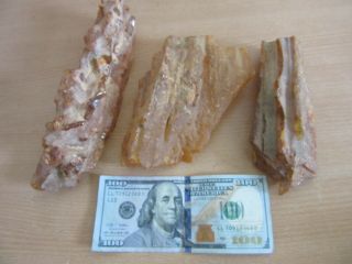 3pc Fossilized Huge Natural Rough Chunks Of Amber Specimens 22.  8 Ounces