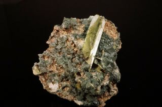 LARGE Titanite Crystal on Adularia ST GOTTHARD,  SWITZERLAND - Ex.  Obodda 10