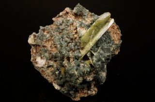 LARGE Titanite Crystal on Adularia ST GOTTHARD,  SWITZERLAND - Ex.  Obodda 11