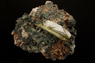 LARGE Titanite Crystal on Adularia ST GOTTHARD,  SWITZERLAND - Ex.  Obodda 12