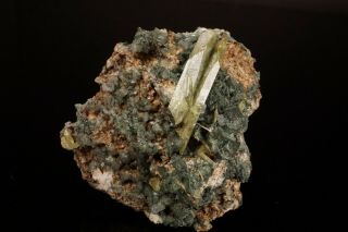 LARGE Titanite Crystal on Adularia ST GOTTHARD,  SWITZERLAND - Ex.  Obodda 3
