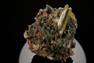 LARGE Titanite Crystal on Adularia ST GOTTHARD,  SWITZERLAND - Ex.  Obodda 5