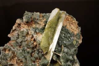 LARGE Titanite Crystal on Adularia ST GOTTHARD,  SWITZERLAND - Ex.  Obodda 9