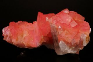 AESTHETIC Rhodochrosite & Quartz Crystal Cluster PASTO BUENO,  PERU - Ex.  Logan 10