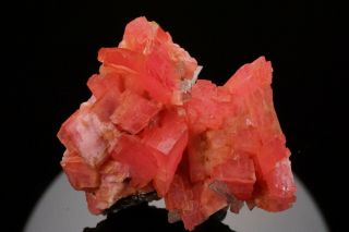 AESTHETIC Rhodochrosite & Quartz Crystal Cluster PASTO BUENO,  PERU - Ex.  Logan 11