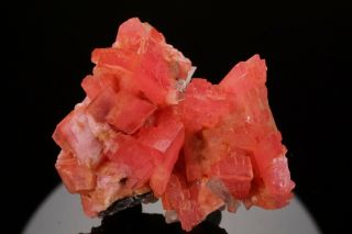 AESTHETIC Rhodochrosite & Quartz Crystal Cluster PASTO BUENO,  PERU - Ex.  Logan 12