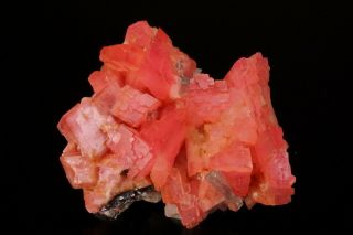 AESTHETIC Rhodochrosite & Quartz Crystal Cluster PASTO BUENO,  PERU - Ex.  Logan 2