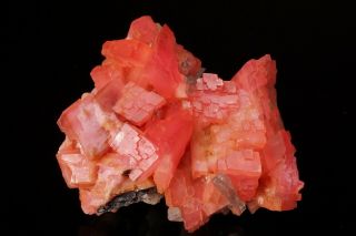 AESTHETIC Rhodochrosite & Quartz Crystal Cluster PASTO BUENO,  PERU - Ex.  Logan 3