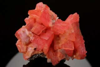 AESTHETIC Rhodochrosite & Quartz Crystal Cluster PASTO BUENO,  PERU - Ex.  Logan 4
