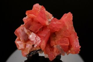 AESTHETIC Rhodochrosite & Quartz Crystal Cluster PASTO BUENO,  PERU - Ex.  Logan 5