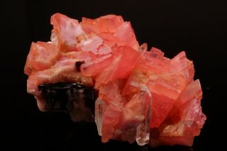 AESTHETIC Rhodochrosite & Quartz Crystal Cluster PASTO BUENO,  PERU - Ex.  Logan 6