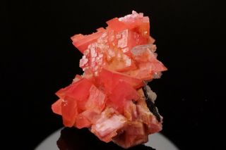 AESTHETIC Rhodochrosite & Quartz Crystal Cluster PASTO BUENO,  PERU - Ex.  Logan 7