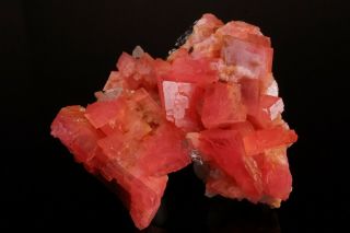 AESTHETIC Rhodochrosite & Quartz Crystal Cluster PASTO BUENO,  PERU - Ex.  Logan 8