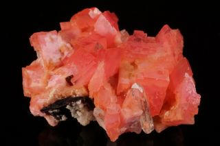 AESTHETIC Rhodochrosite & Quartz Crystal Cluster PASTO BUENO,  PERU - Ex.  Logan 9