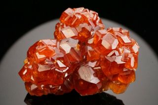 Spessartine Garnet Crystal Cluster WUSHAN SPESSARTINE MINE,  CHINA 7