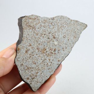 51g Eteorite Yunnan Xishuangbanna Chondrite Meteorite A2928