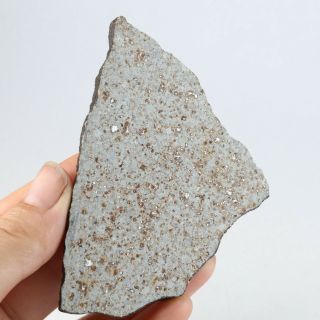 51g eteorite Yunnan Xishuangbanna chondrite meteorite A2928 2