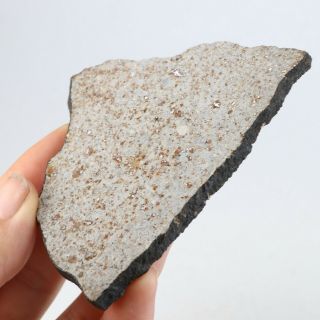 51g eteorite Yunnan Xishuangbanna chondrite meteorite A2928 3