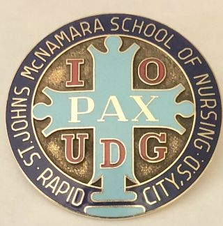 St John’s Mcnamara School Of Nursing Badge 10k Gold Enamel Pin 10.  2 Grams