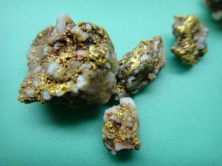 Old group California Gold Quartz natural nuggets in pouch 43.  6 grams (28.  0 dwt) 8