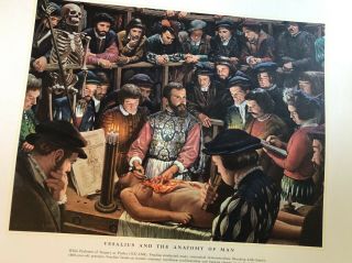 History Of Medicine In Pictures,  Park Davis,  49 Prints,  Complete Set