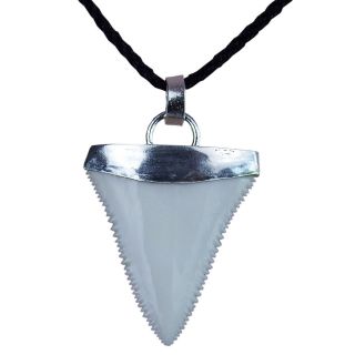 1.  4  Modern Great White Shark Tooth Necklace For Men Silver Cap Gn35mm