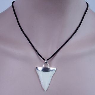 1.  4  Modern Great White Shark Tooth Necklace For Men Silver Cap GN35MM 2