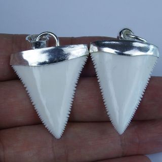 1.  4  Modern Great White Shark Tooth Necklace For Men Silver Cap GN35MM 4