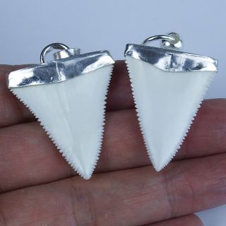 1.  4  Modern Great White Shark Tooth Necklace For Men Silver Cap GN35MM 5