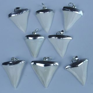 1.  4  Modern Great White Shark Tooth Necklace For Men Silver Cap GN35MM 6