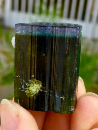 244 C.  T Top Class Damage Terminated Bi Color Purple Cap Tourmaline Crystal 2