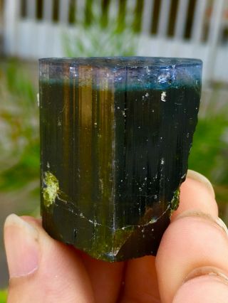 244 C.  T Top Class Damage Terminated Bi Color Purple Cap Tourmaline Crystal 3