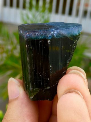 244 C.  T Top Class Damage Terminated Bi Color Purple Cap Tourmaline Crystal 4