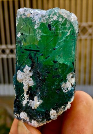 Wow 459 C.  T Top Class Terminated Tourmaline On Green Beryl Aquamarine Crystal