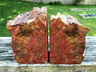 Arizona Petrified Wood Bookends Cut,  Polished & Felted 4 lbs.  6 oz. 2