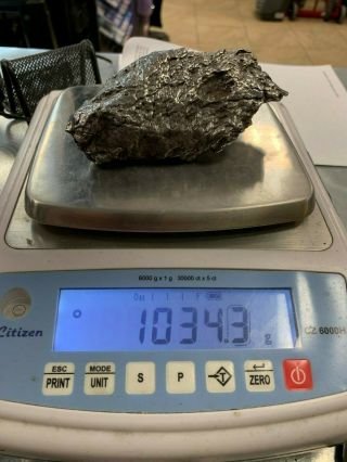 Sikhote Meteorite 1034g 5x 2.  25 X 2 5