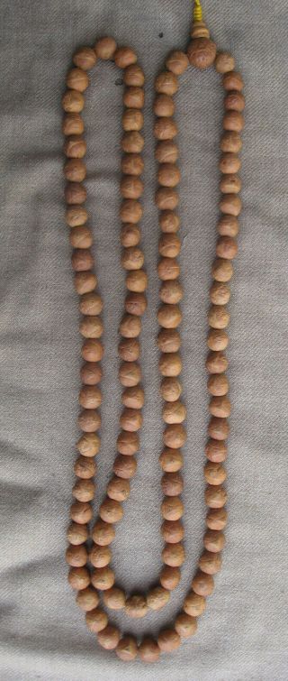 12,  13 Mm 3 Eye 108 Beads Natural Bodhi Seed Tibetan Buddist Mala,  Nepal