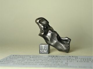 meteorite Sikhote - Alin,  Russia,  complete regmaglypted individual 27,  8 g 2
