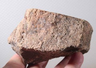 Agatized Polished Fossil Dinosaur Gem Bone 1 lb 13 oz 6