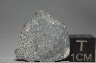 Nwa 10228 Feldspathic Lunar Melt Matrix Breccia Meteorite 0.  714g Complete Slice