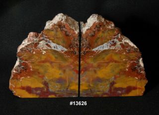 Exquisite Petrified Wood Bookends11 3/4 " Wide 6 7/8 " Tall 1 7/8 " Thick 11.  2 Lbs