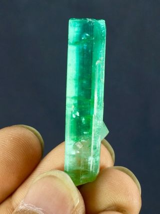 Wow - 25 - C.  T - Top - Quality - - Terminated - Paraiba - Blue - Tourmaline - Crystal