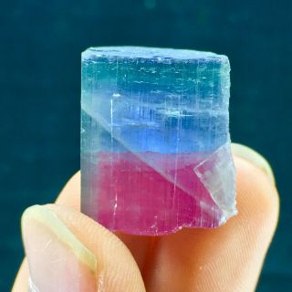 82 C.  T Top Quality Damage Terminated Bi Color Blue Cap Tourmaline Crystal