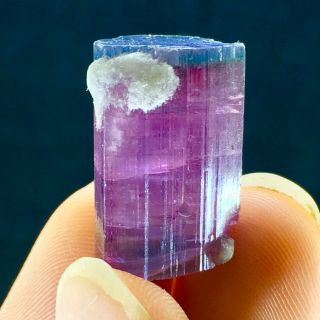 44 C.  T Top Quality Damage Terminated Bi Color Blue Cap Tourmaline Crystal