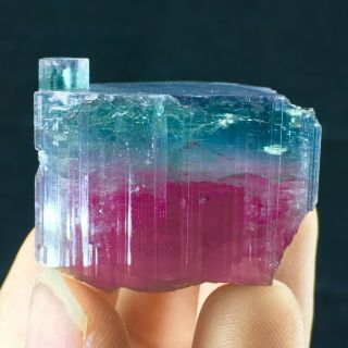 212 C.  T Top Quality Damage Terminated Bi Color Blue Cap Tourmaline Crystal